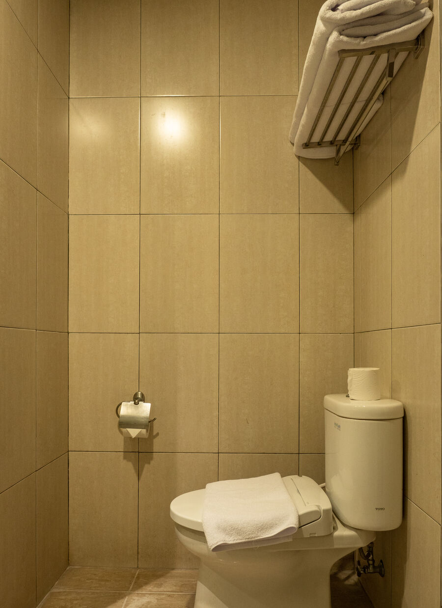 Deluxe Plus Room — 7