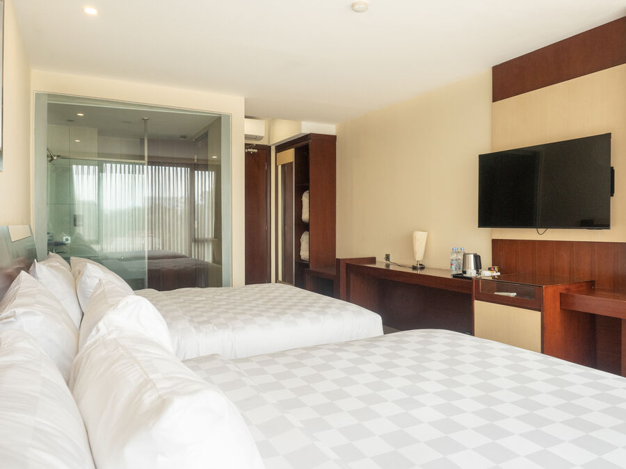 Deluxe Room — 3